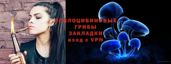 дживик Михайловск