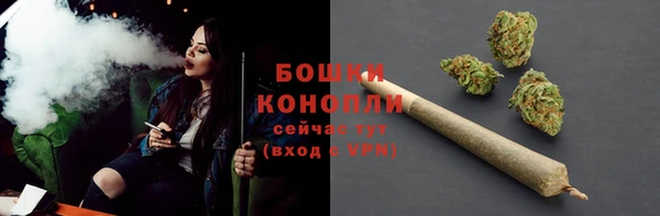 PSILOCYBIN Михайлов