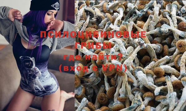 PSILOCYBIN Михайлов