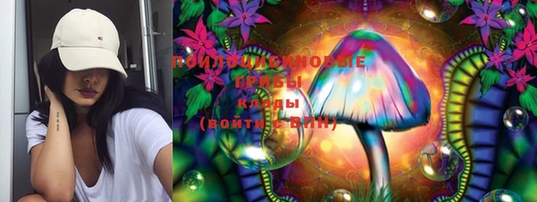 PSILOCYBIN Михайлов