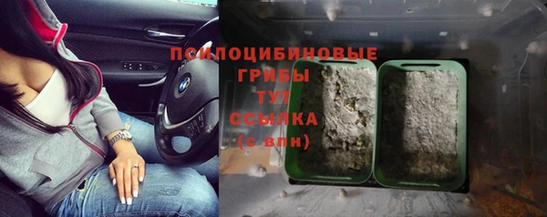 дживик Михайловск